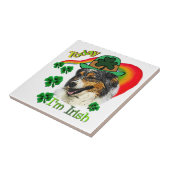 Australian Shepherd St Patricks Tegeltje (Zijkant)