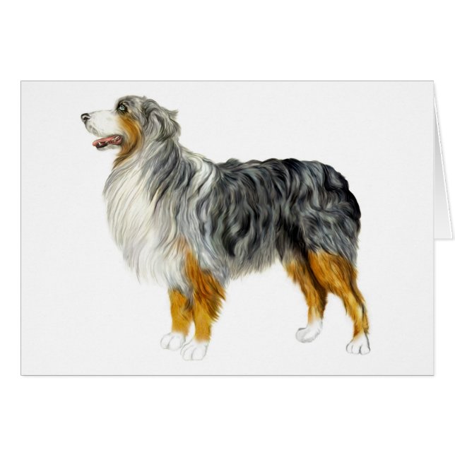 Australian Shepherd Standing (Voorkant Horizontaal)