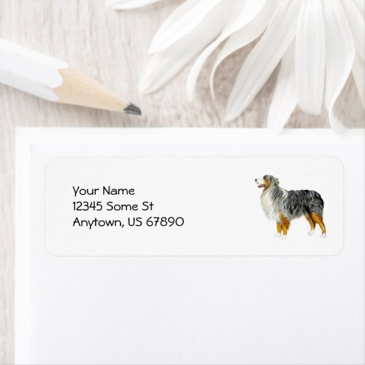 Australian Shepherd Standing Labels (Insitu)