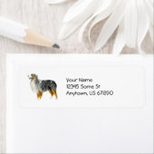 Australian Shepherd Standing Labels (Insitu)