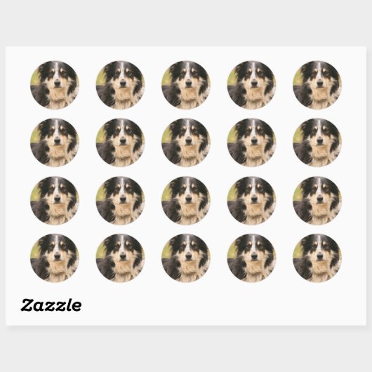 Australian Shepherd Sticker (Vel)