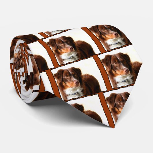 Australian Shepherd stropdas (Opgerold)