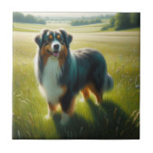 Australian Shepherd Tegeltje (Voorkant)