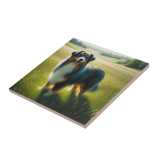 Australian Shepherd Tegeltje (Zijkant)