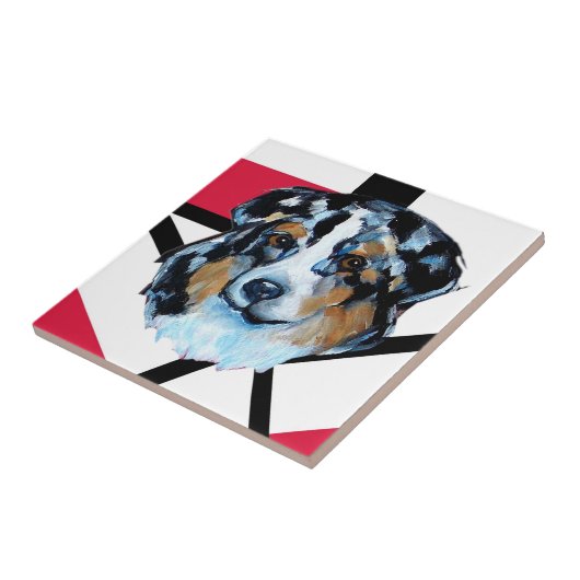 AUSTRALIAN SHEPHERD TEGELTJE (Zijkant)