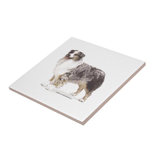 Australian Shepherd Tegeltje (Zijkant)
