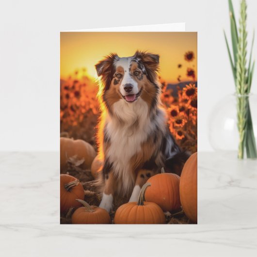 Australian Shepherd Thanksgiving Feestdagen Kaart (Voorkant)