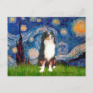 Australian Shepherd (Tri2) — Sterrennacht Briefkaart
