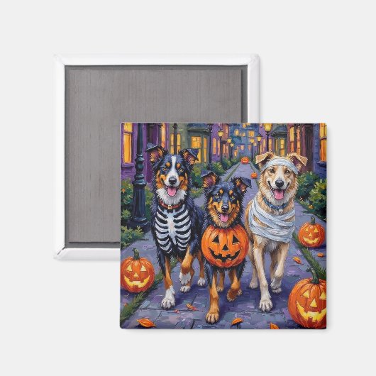 Australian Shepherd Trick-or-Treating met Hallowee Magneet (Voorkant / Achterkant)