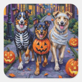 Australian Shepherd Trick-or-Treating met Hallowee Vierkante Sticker (Voorkant)