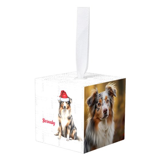 Australian Shepherd twee foto's van Kerstmis Decoratie (Voorkant hoekig)