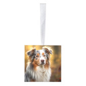 Australian Shepherd twee foto's van Kerstmis Decoratie (Rechts)