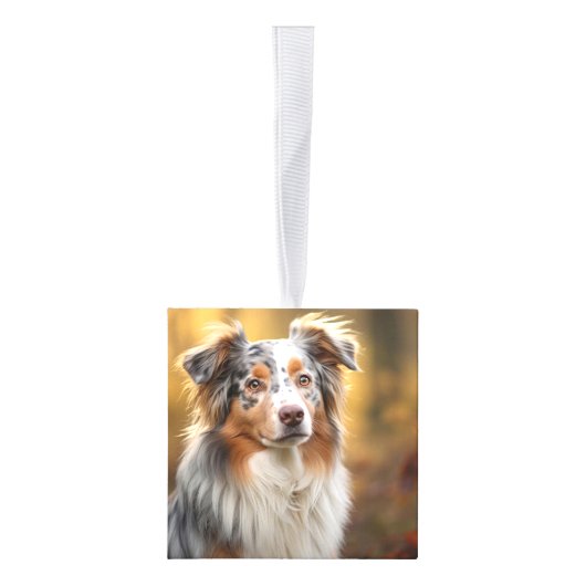 Australian Shepherd twee foto's van Kerstmis Decoratie (Rechts)