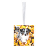 Australian Shepherd Two Photo Feliz Navidog Decoratie (Rechts)