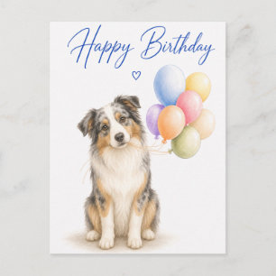 Australian Shepherd Verjaardag Briefkaart