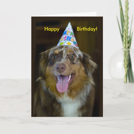 Australian Shepherd Verjaardagsfeest Hond Kaart (Voorkant)