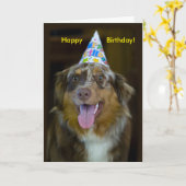 Australian Shepherd Verjaardagsfeest Hond Kaart (Gele Bloem)