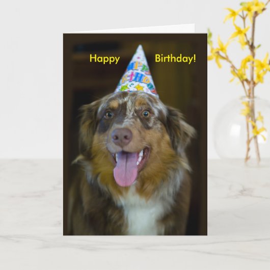 Australian Shepherd Verjaardagsfeest Hond Kaart (Gele Bloem)