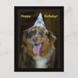 Australian Shepherd Verjaardagsfeest Hond Uitnodiging Briefkaart