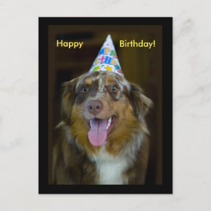 Australian Shepherd Verjaardagsfeest Hond Uitnodiging Briefkaart