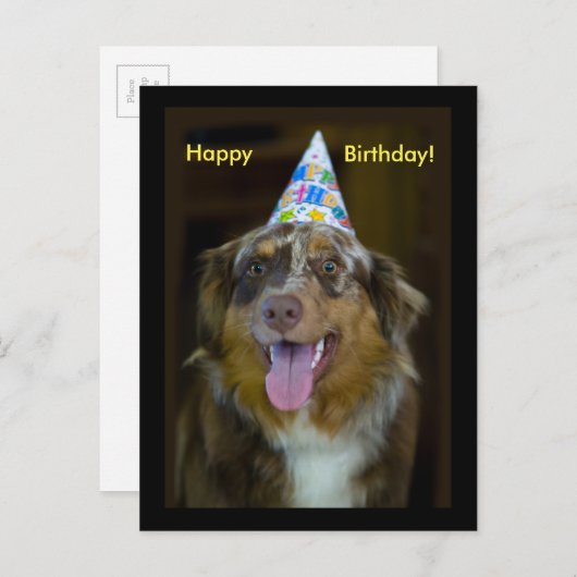 Australian Shepherd Verjaardagsfeest Hond Uitnodiging Briefkaart (Voorkant / Achterkant)