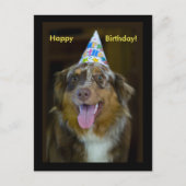 Australian Shepherd Verjaardagsfeest Hond Uitnodiging Briefkaart (Voorkant)