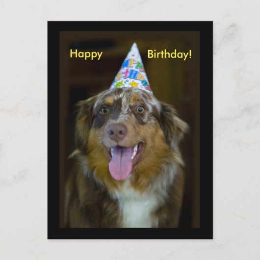 Australian Shepherd Verjaardagsfeest Hond Uitnodiging Briefkaart (Voorkant)