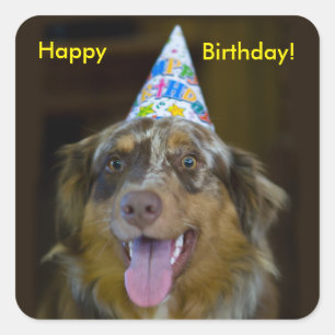 Australian Shepherd Verjaardagsfeest Hond Vierkante Sticker