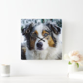 Australian Shepherd Vierkante Klok (Huis)