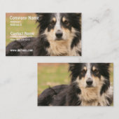 Australian Shepherd Visitekaartje (Voorkant / Achterkant)