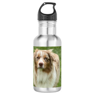 Australian Shepherd Water Bottle Waterfles