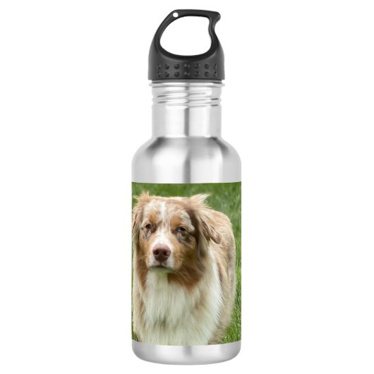 Australian Shepherd Water Bottle Waterfles (Voorkant)