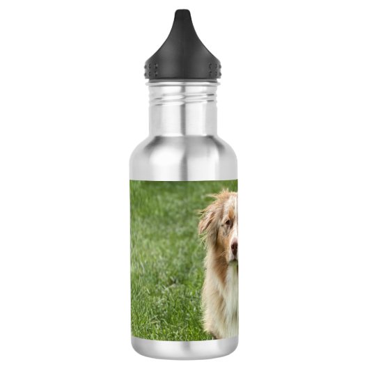Australian Shepherd Water Bottle Waterfles (Links)