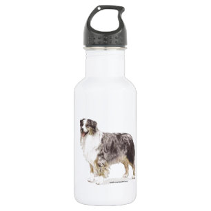 Australian Shepherd Waterfles