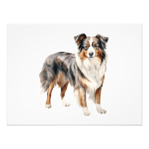 Australian Shepherd waterverf clipart Australian Foto Afdruk