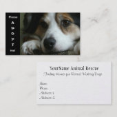 Australian Shepherd Working Dog Shelter Card Visitekaartje (Voorkant / Achterkant)