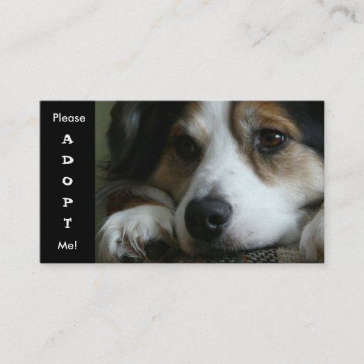 Australian Shepherd Working Dog Shelter Card Visitekaartje (Voorkant)