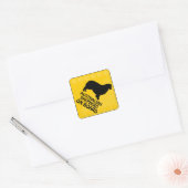 Australian Shepherd Xing Vierkante Sticker (Envelop)