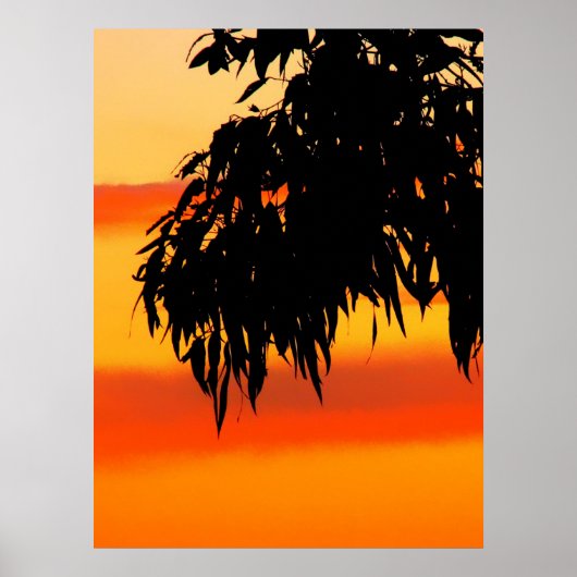 Australian Silhouette Sunset Sky Print (Voorkant)