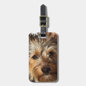 Australian Silky Terrier Bagagelabel (Voorkant verticaal)
