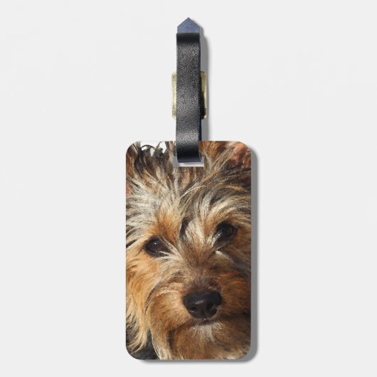 Australian Silky Terrier Bagagelabel (Achterkant verticaal)