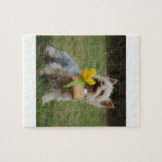 Australian Silky Terrier Dog Legpuzzel (Horizontaal)