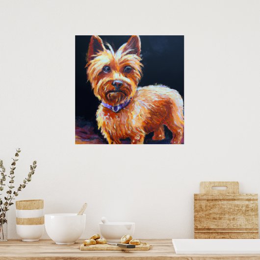 Australian Silky Terrier - Dog Portrait Poster (Keuken)