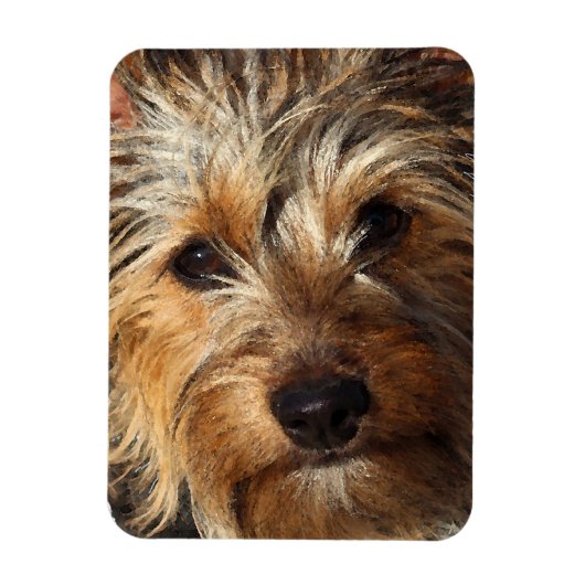 Australian Silky Terrier Magneet (Verticaal)