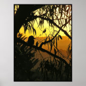 Australian Solstice Sunset Poster (Voorkant)