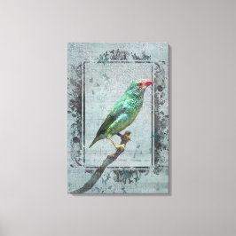 Australian Star Finch over muziek Canvas Afdruk