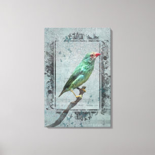 Australian Star Finch over muziek Canvas Afdruk