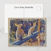 Australian Sulfur Crested Cockato Briefkaart (Voorkant / Achterkant)