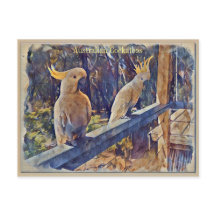 Australian Sulfur Crested Cockato