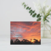 Australian Sunset Briefkaart (Staand voorkant)